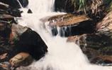 玉龍?jiān)?、響水?></a></dd>
  <dd>
	 

	

	 

	　　雨母山西北一個(gè)山皂，東西縱向長(zhǎng)達(dá)1公里。有叫玉龍?jiān)?，有叫響水皂。該皂有響水泉和響水瀑布。在玉龍?jiān)砼c九龍沖相隔的山坳，叫玉龍騰山坳，簡(jiǎn)稱(chēng)玉龍坳。玉龍土皂現(xiàn)駐有供電所、林場(chǎng)和蒸湘區(qū)黨校。在玉龍?jiān)淼?，有一泉臺(tái)，叫玉龍臺(tái)。...[<a href=