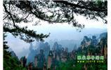 【純玩獨立成團線路1】張家界、袁家界、天子山、寶峰湖/黃龍洞二晚三日