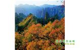 長(zhǎng)沙往返張家界、天子山、寶峰湖/黃龍洞三日游