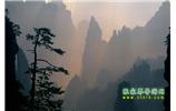 張家界國家森林公園、寶峰湖/黃龍洞、鳳凰古城、三峽八日游