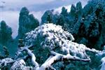 【純玩散拼線路17】張家界、天子山、芙蓉鎮(zhèn)、猛洞河漂流、鳳凰古城三晚四日游