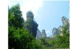 【純玩拼團(tuán)線路 張家界出發(fā)A2線】張家界、袁家界、天子山、金鞭溪、鳳凰古城2晚3日游